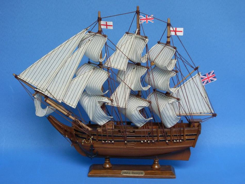 Wooden Charles Darwin's HMS Beagle Model Ship 14"