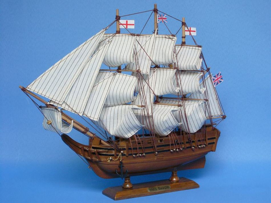 Wooden Charles Darwin's HMS Beagle Model Ship 14"