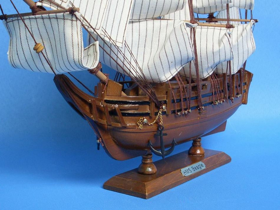 Wooden Charles Darwin's HMS Beagle Model Ship 14"