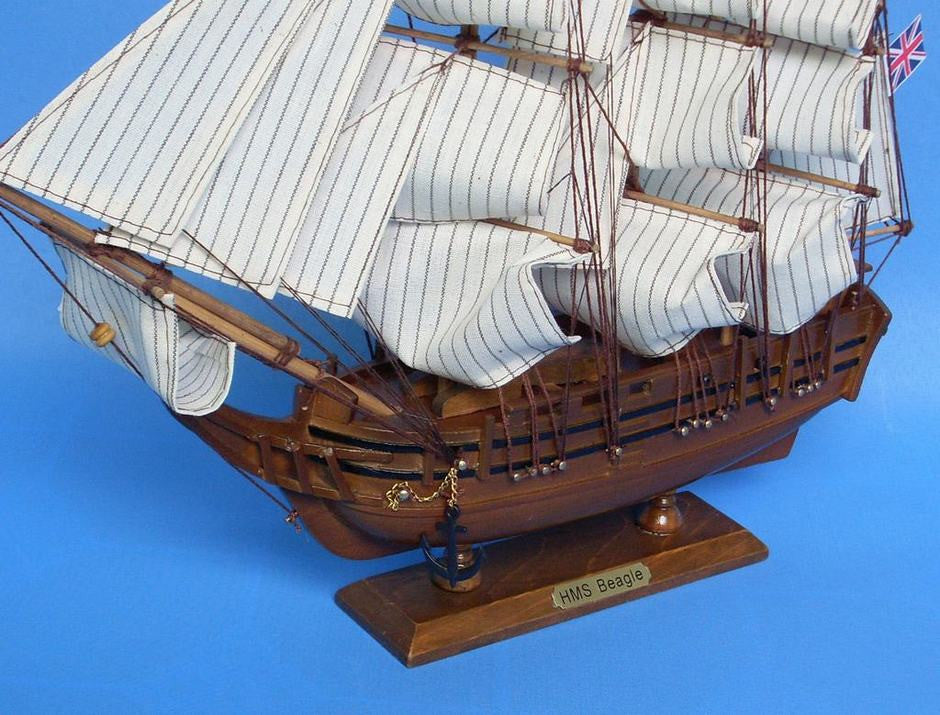 Wooden Charles Darwin's HMS Beagle Model Ship 14"