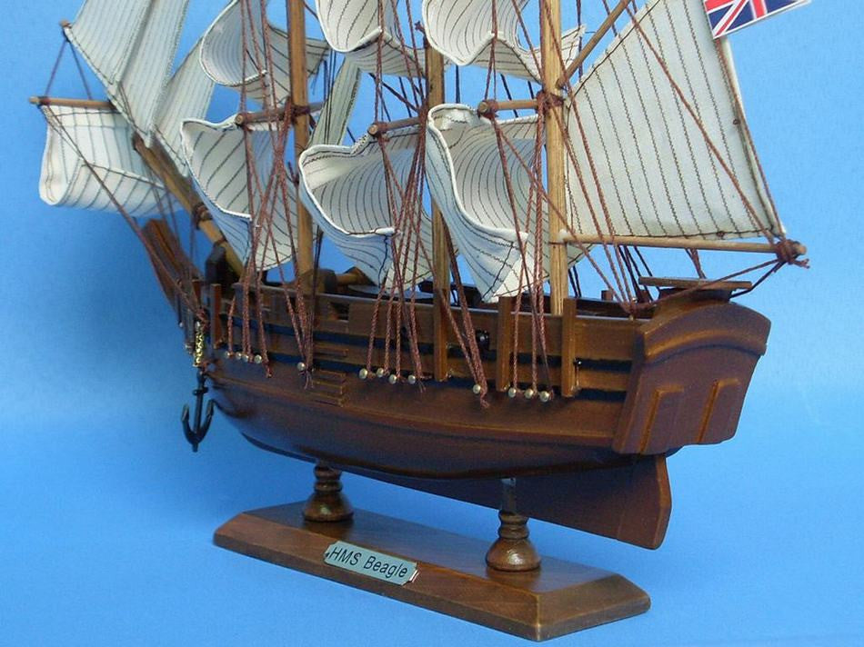 Wooden Charles Darwin's HMS Beagle Model Ship 14"