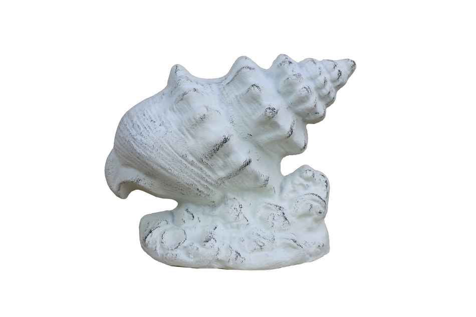 Whitewashed Cast Iron Conch Shell Door Stopper 9"