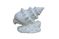 Whitewashed Cast Iron Conch Shell Door Stopper 9"