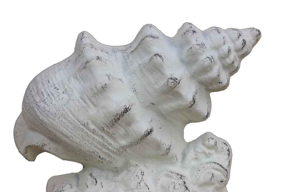 Whitewashed Cast Iron Conch Shell Door Stopper 9"
