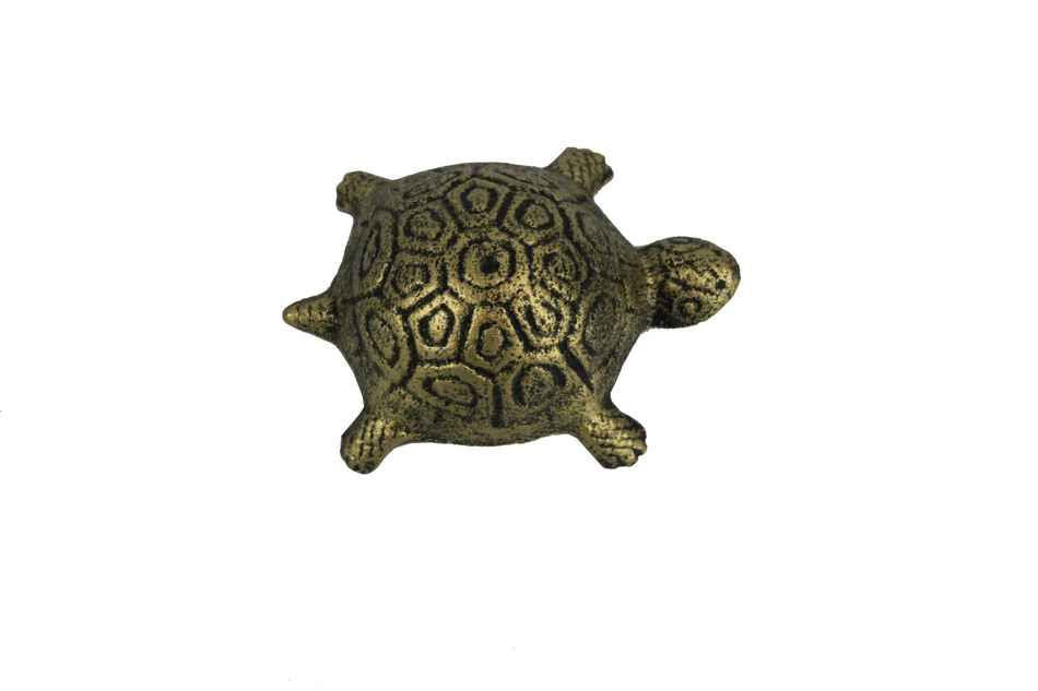 Antique Gold Cast Iron Turtle Paperweight 5"